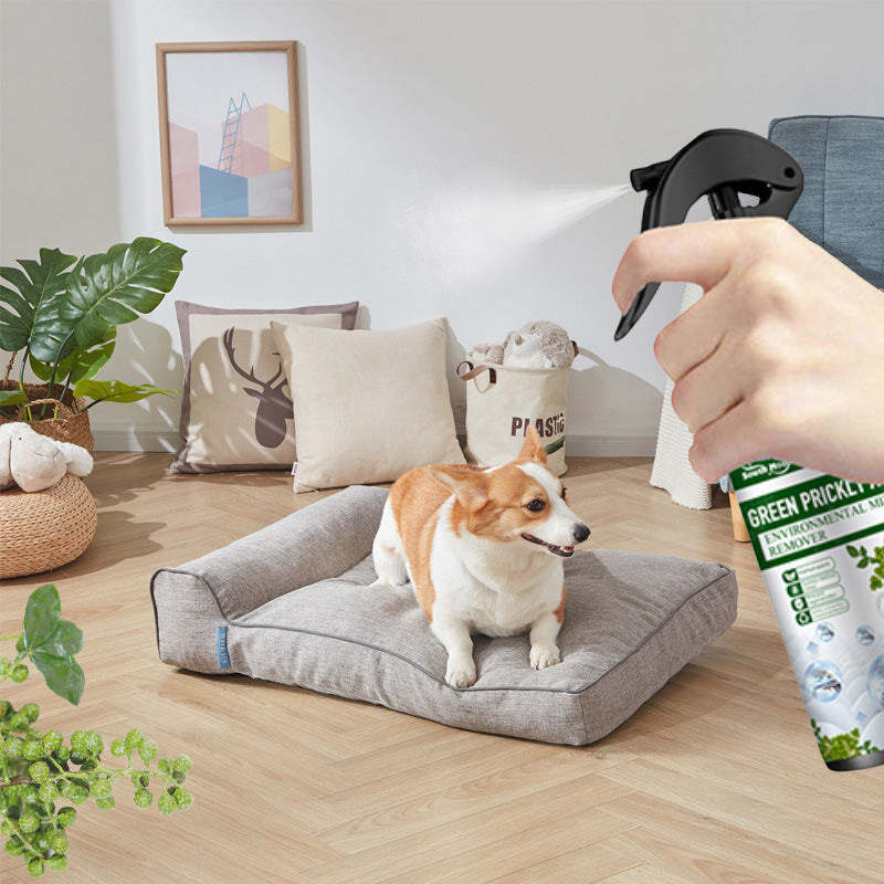 🔥LAST DAY SALE 50% OFF🔥Powerful Mite Remover Spray- Deep Clean, Protect Health!