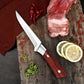 🔥LAST DAY PROMOTION - 50%OFF🔥Knife Recommended By a Michelin Chef - Japanese Premium Knife🔪