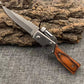 🔥LAST DAY SALE 50% OFF🔥Outdoor Stainless Steel Portable Folding Knife🗡️