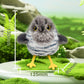 🔥 LAST DAY PROMOTION - 50%OFF 🔥🐤Lifelike Bird-Shaped Interactive Cat Toy🐱